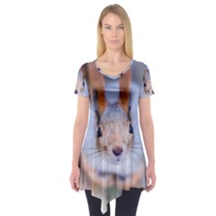 Squirrel Looks At You Short Sleeve Tunic  by FunnyCow