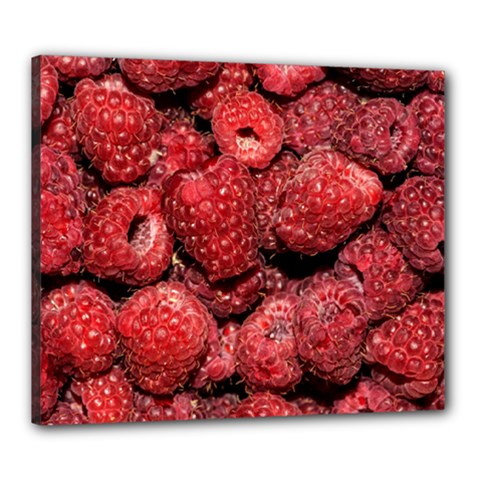 Red Raspberries Canvas 24  X 20  by FunnyCow