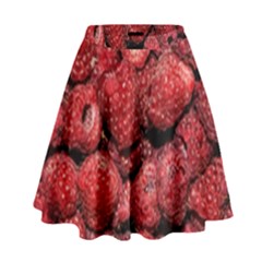 Red Raspberries High Waist Skirt by FunnyCow