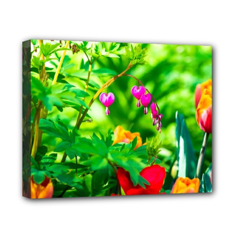 Bleeding Heart Flowers In Spring Canvas 10  X 8  by FunnyCow