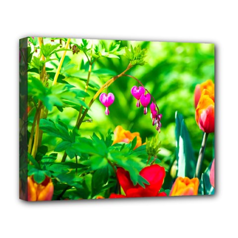 Bleeding Heart Flowers In Spring Deluxe Canvas 20  X 16   by FunnyCow