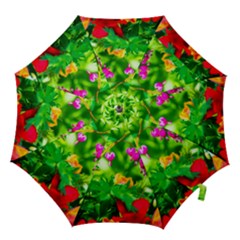 Bleeding Heart Flowers In Spring Hook Handle Umbrellas (medium) by FunnyCow