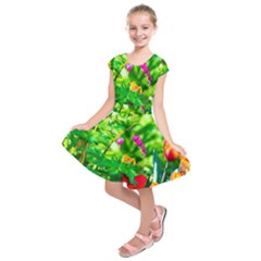 Bleeding Heart Flowers In Spring Kids  Short Sleeve Dress by FunnyCow