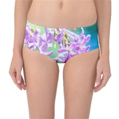 Beautiful Pink Lilac Flowers Mid-waist Bikini Bottoms by FunnyCow