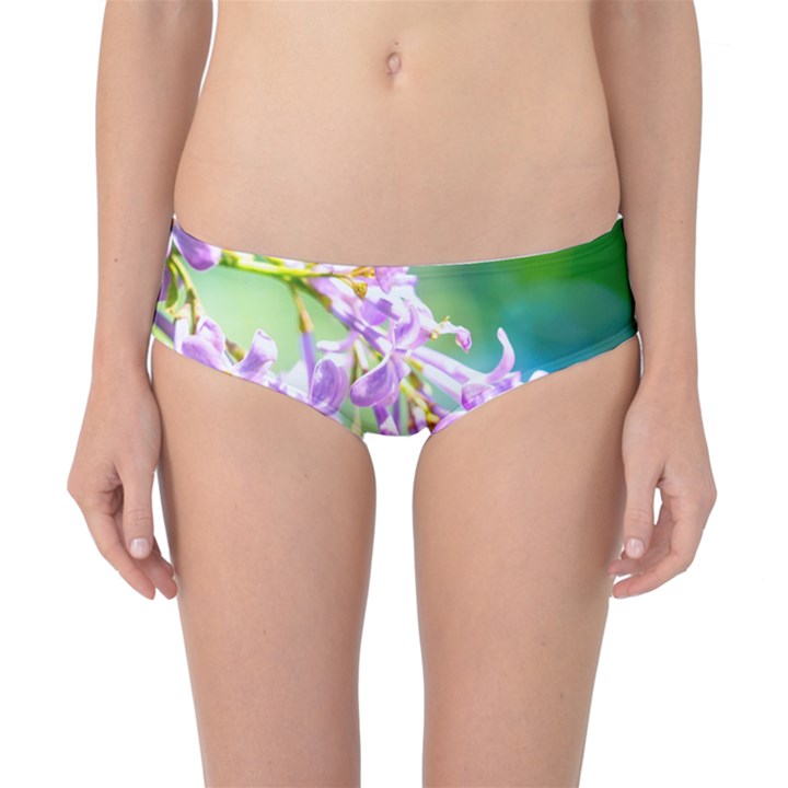 Beautiful Pink Lilac Flowers Classic Bikini Bottoms