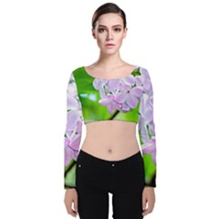 Elegant Pink Lilacs In Spring Velvet Crop Top by FunnyCow