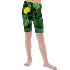 Yellow Dandelion Flowers In Spring Kids  Mid Length Swim Shorts