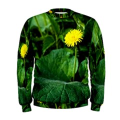 Yellow Dandelion Flowers In Spring Men s Sweatshirt by FunnyCow