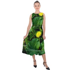 Yellow Dandelion Flowers In Spring Midi Tie-back Chiffon Dress by FunnyCow