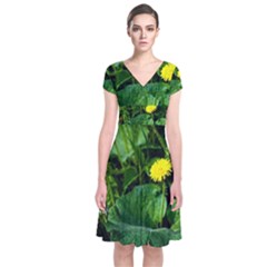 Yellow Dandelion Flowers In Spring Short Sleeve Front Wrap Dress by FunnyCow