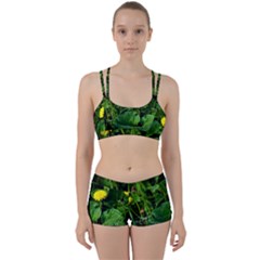 Yellow Dandelion Flowers In Spring Women s Sports Set by FunnyCow