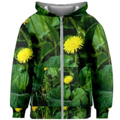 Yellow Dandelion Flowers In Spring Kids Zipper Hoodie Without Drawstring by FunnyCow