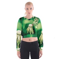 Dandelion Flower Green Chief Cropped Sweatshirt by FunnyCow