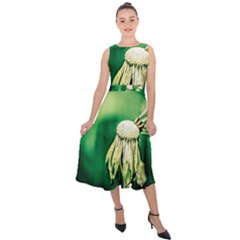 Dandelion Flower Green Chief Midi Tie-back Chiffon Dress by FunnyCow