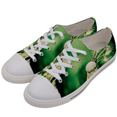 Dandelion Flower Green Chief Women s Low Top Canvas Sneakers by FunnyCow