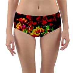 Colorful Tulips On A Sunny Day Reversible Mid-waist Bikini Bottoms by FunnyCow