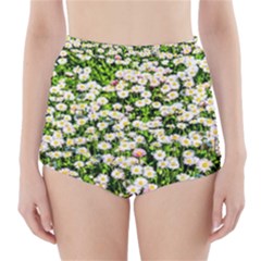 Green Field Of White Daisy Flowers High-waisted Bikini Bottoms by FunnyCow