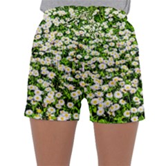 Green Field Of White Daisy Flowers Sleepwear Shorts by FunnyCow