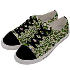 Green Field Of White Daisy Flowers Men s Low Top Canvas Sneakers by FunnyCow