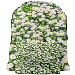 Green Field Of White Daisy Flowers Giant Full Print Backpack by FunnyCow