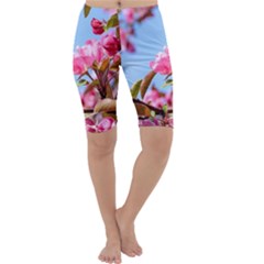 Crab Apple Blossoms Cropped Leggings 