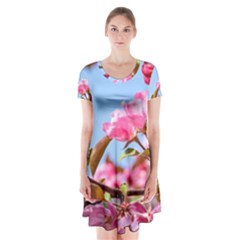 Crab Apple Blossoms Short Sleeve V-neck Flare Dress by FunnyCow