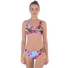 Crab Apple Blossoms Criss Cross Bikini Set by FunnyCow