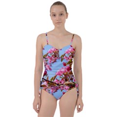 Crab Apple Blossoms Sweetheart Tankini Set by FunnyCow