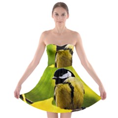 Tomtit Bird Dressed To The Season Strapless Bra Top Dress by FunnyCow