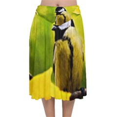 Tomtit Bird Dressed To The Season Velvet Flared Midi Skirt by FunnyCow