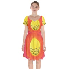 Red Sun Short Sleeve Bardot Dress