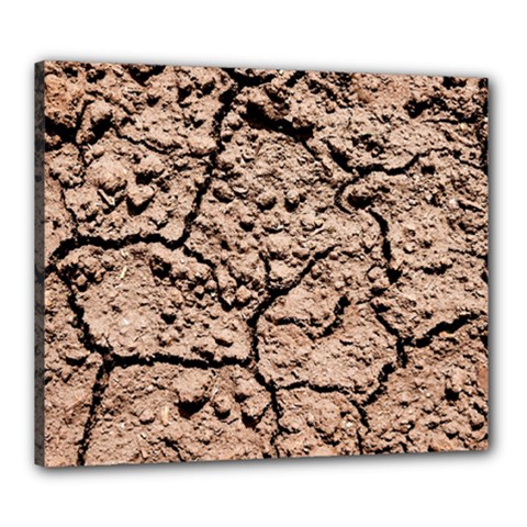 Earth  Light Brown Wet Soil Canvas 24  X 20  by FunnyCow