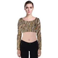 Dry Hay Texture Velvet Crop Top by FunnyCow