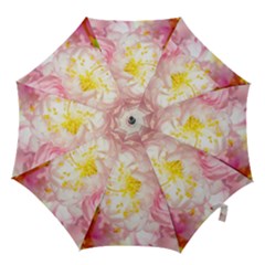 Pink Flowering Almond Flowers Hook Handle Umbrellas (small) by FunnyCow