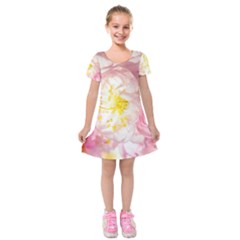 Pink Flowering Almond Flowers Kids  Short Sleeve Velvet Dress by FunnyCow