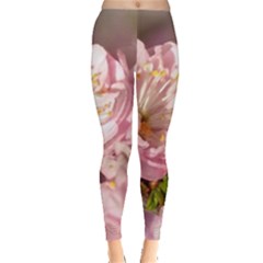 Beautiful Flowering Almond Leggings  by FunnyCow