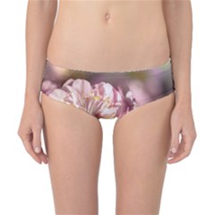 Beautiful Flowering Almond Classic Bikini Bottoms by FunnyCow