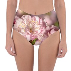 Beautiful Flowering Almond Reversible High-waist Bikini Bottoms by FunnyCow