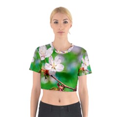 Sakura Flowers On Green Cotton Crop Top by FunnyCow