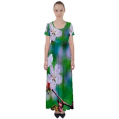 Sakura Flowers On Green High Waist Short Sleeve Maxi Dress by FunnyCow