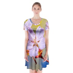 Sakura Flowers On Yellow Short Sleeve V-neck Flare Dress by FunnyCow