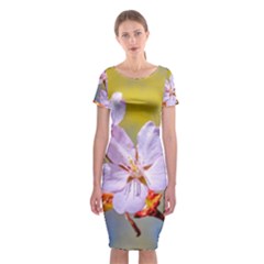 Sakura Flowers On Yellow Classic Short Sleeve Midi Dress by FunnyCow