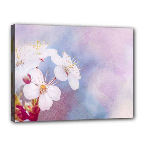 Pink Mist Of Sakura Canvas 16  X 12  by FunnyCow