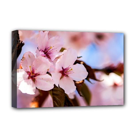 Three Sakura Flowers Deluxe Canvas 18  X 12   by FunnyCow