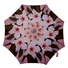 Three Sakura Flowers Hook Handle Umbrellas (medium) by FunnyCow