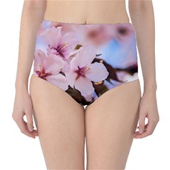 Three Sakura Flowers Classic High-waist Bikini Bottoms by FunnyCow