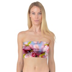 Flowering Almond Flowersg Bandeau Top by FunnyCow