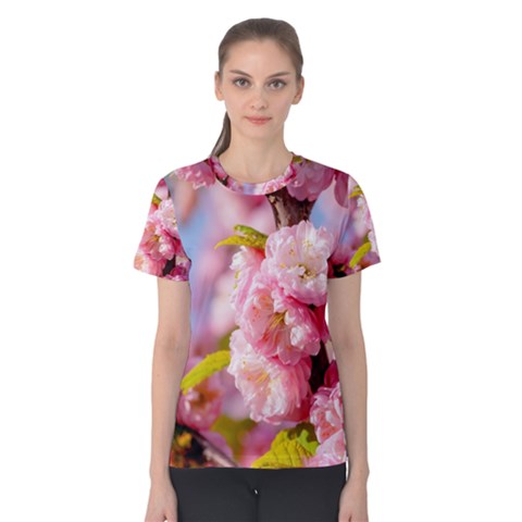 Flowering Almond Flowersg Women s Cotton Tee by FunnyCow