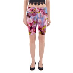 Flowering Almond Flowersg Yoga Cropped Leggings by FunnyCow