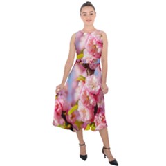 Flowering Almond Flowersg Midi Tie-back Chiffon Dress by FunnyCow